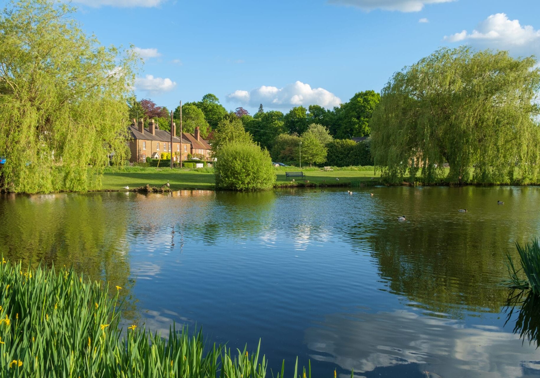 West End is a picturesque village in the beautiful leafy county of Surrey in southeast England. The houses built around a large pond with ducks, swans and geese is a picture many have of an idyllic English village.